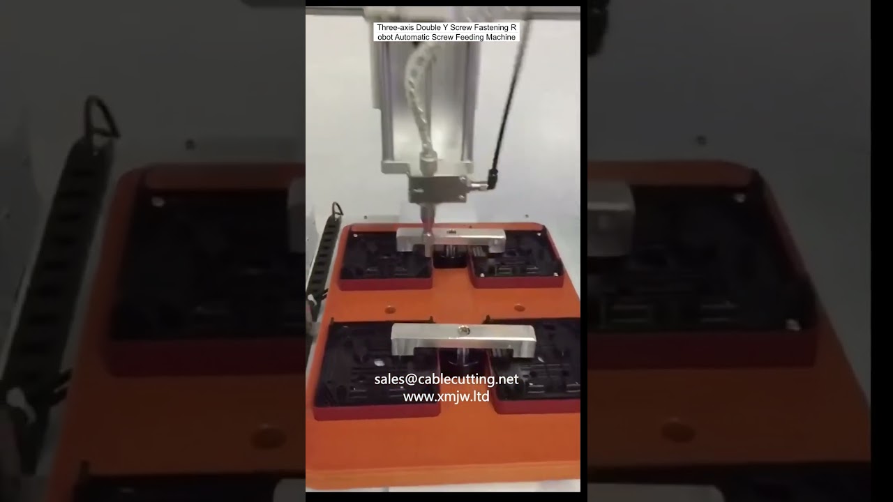 3-Achsen Doppel-Y-Schraubroboter mit automatischer Schraubenzuführung