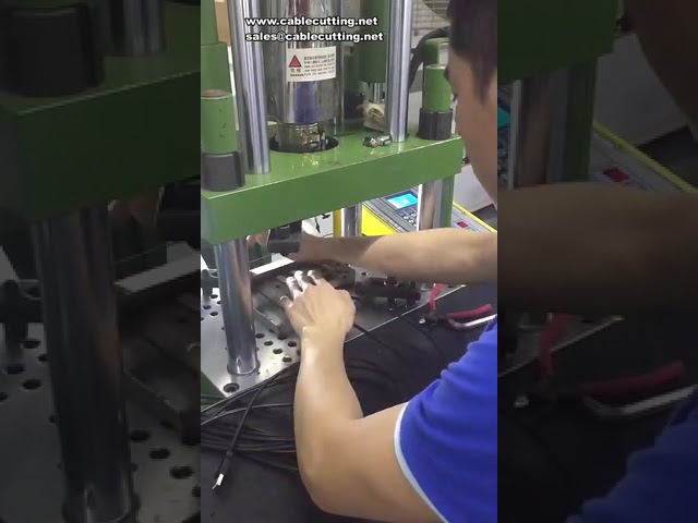 Vertikale Spritzgießmaschine 20T – Perfekt für DC-Stecker & Kabel aus PVC, TPE, PP, PE