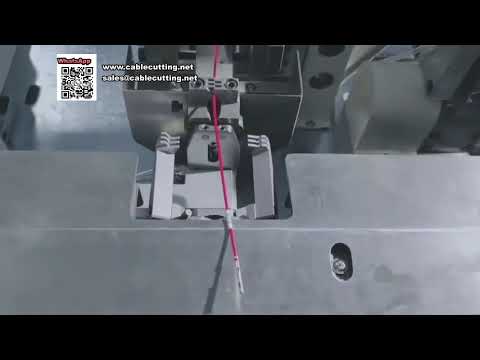 Automatische Doppelkopf-Crimp- und Nummernschlauch-Einfügemaschine
