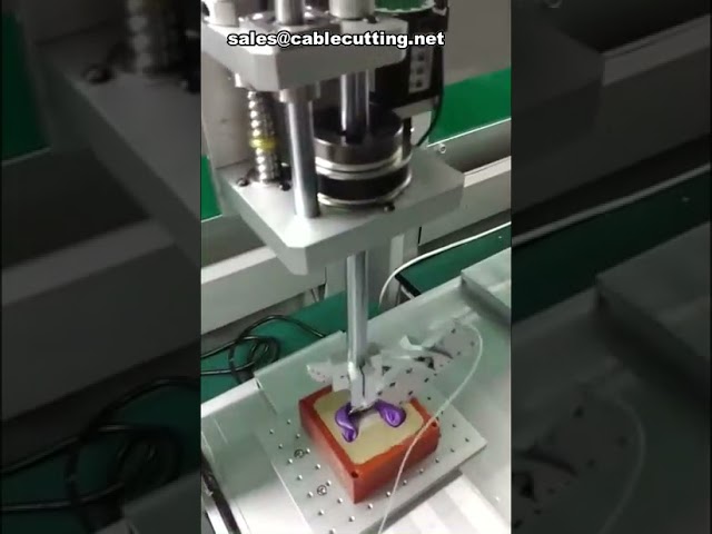 Präzisions-Kleberoboter mit R-Achse – Automatischer Klebstoff-Dispenser für die Industrie