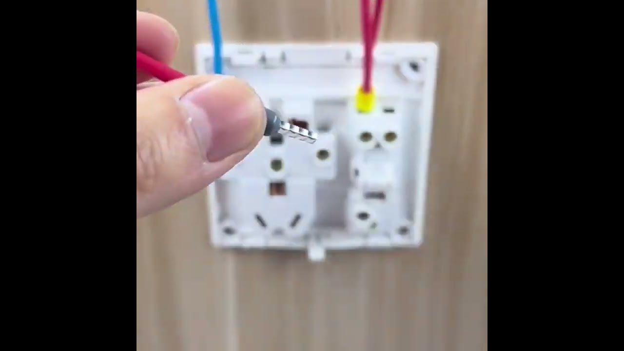 Kasten mit Reihenklemmen, Aderendhülsen und Crimpverbindern – Elektrisches Anschlussset für die Automation