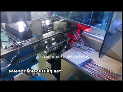 Automatische Crimpmaschine: Steckergehäuse-Montage & Anschluss-Crimpen