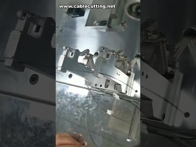 Kabelbeschriftungsmaschine & Faltetikettierer – Automatisierte Kabelkennzeichnung für die Fertigung