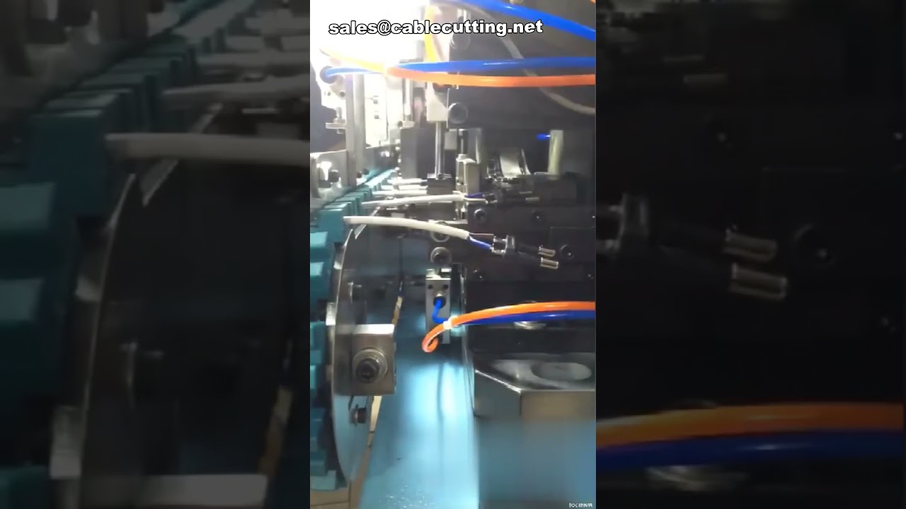 Automatische Zweipol-Steckerterminal-Crimpmaschine | Präzise Crimpverbindungen