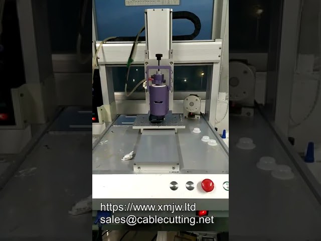 Automatischer 3-Achsen-Klebstoffdispenser für Lautsprecher – PLC-programmierbar, hohe Geschwindigkeit