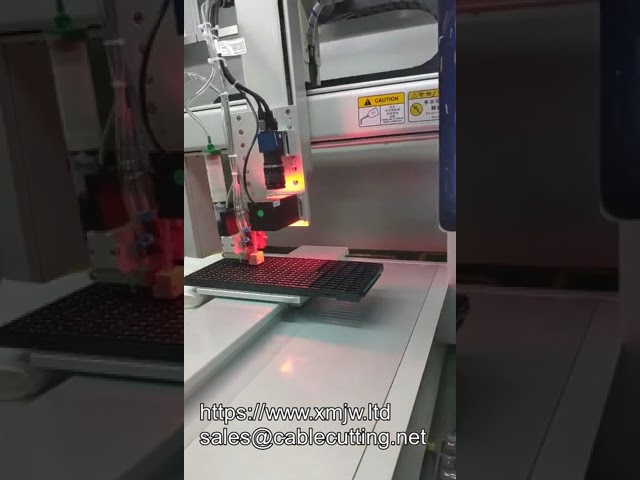 OEM-kundenspezifischer 3-Achsen-Vision-Klebstoffdispenser mit Robotersteuerung und visueller Programmierung