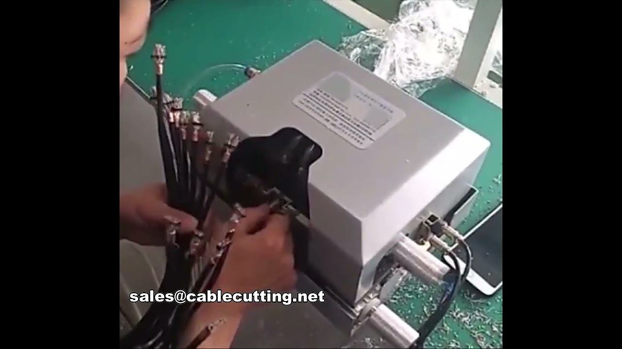 Spezialisierte Mehrkern-Doppelparallel-Abisolier-Maschine WPM-012