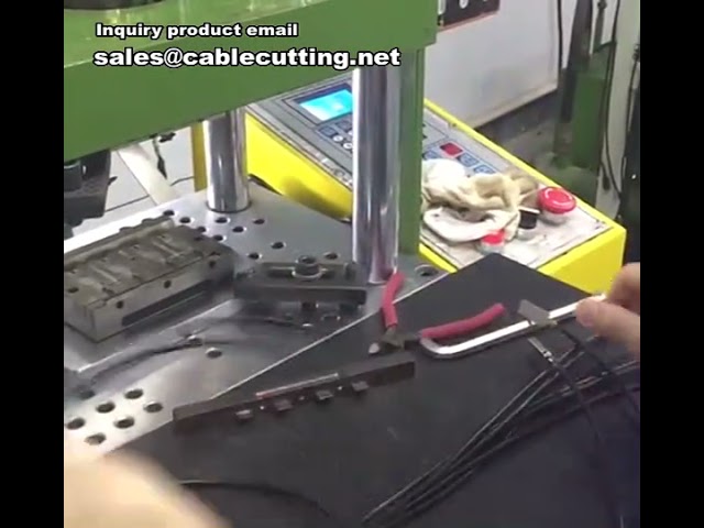 Präzisions-Spritzgießmaschine für Steckverbinder und Apple-Head-Komponenten